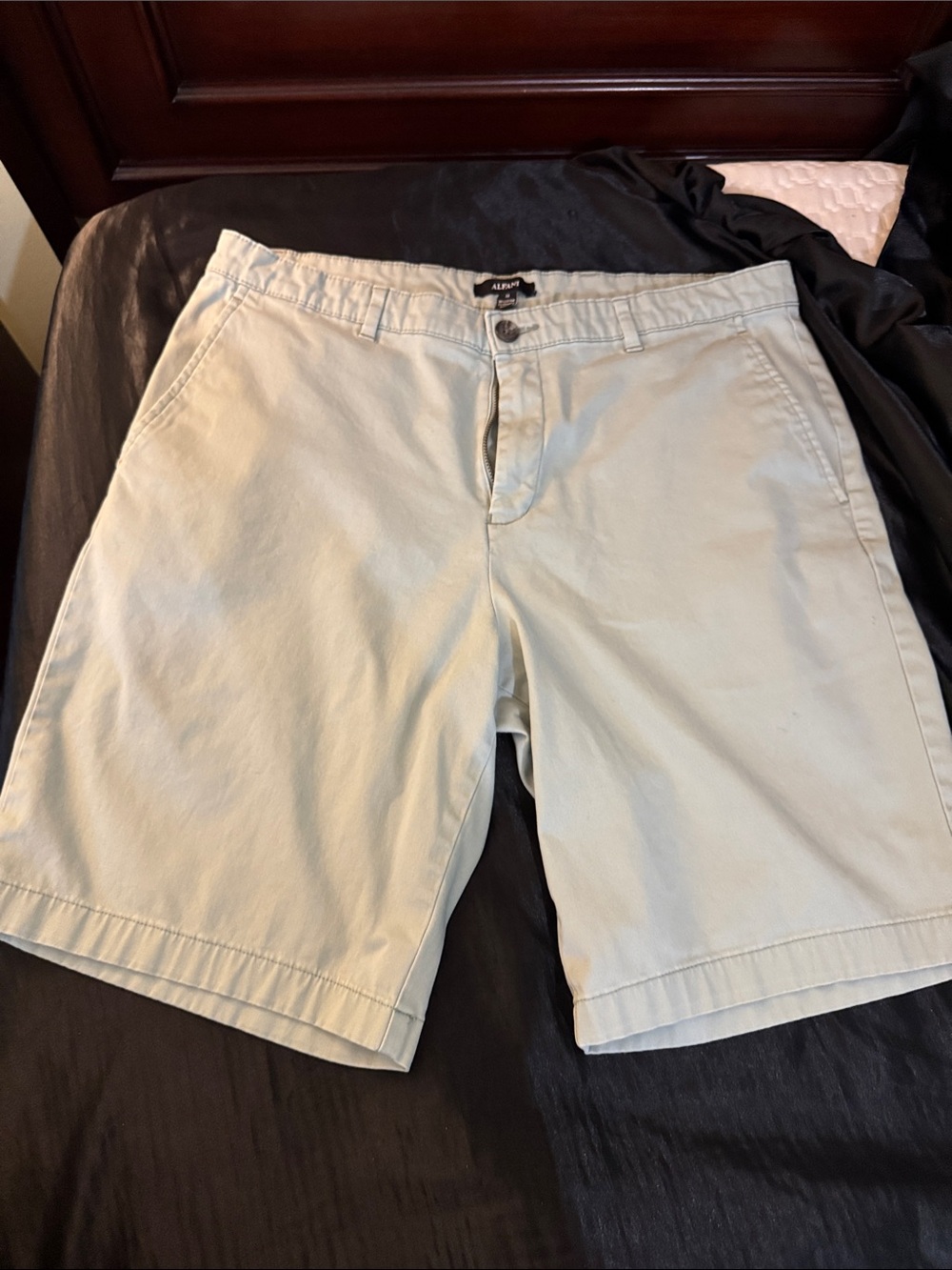 Alfani Men’s Light Green Flat Front Shorts